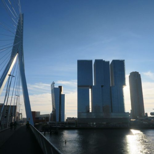 Highlight Rotterdam Private Bike Tour